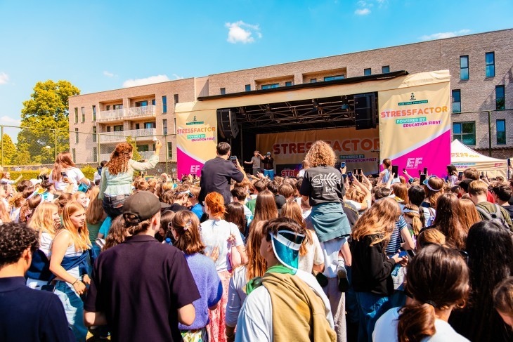 Stressfactor